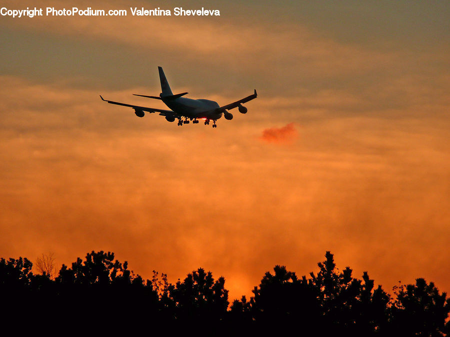 Aircraft, Airplane, Forest Fire, Airliner, Flight, Jet, Dusk