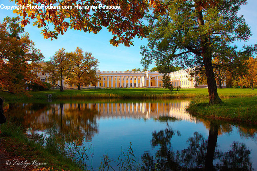 Outdoors, Pond, Water, Architecture, Court, Building, Housing