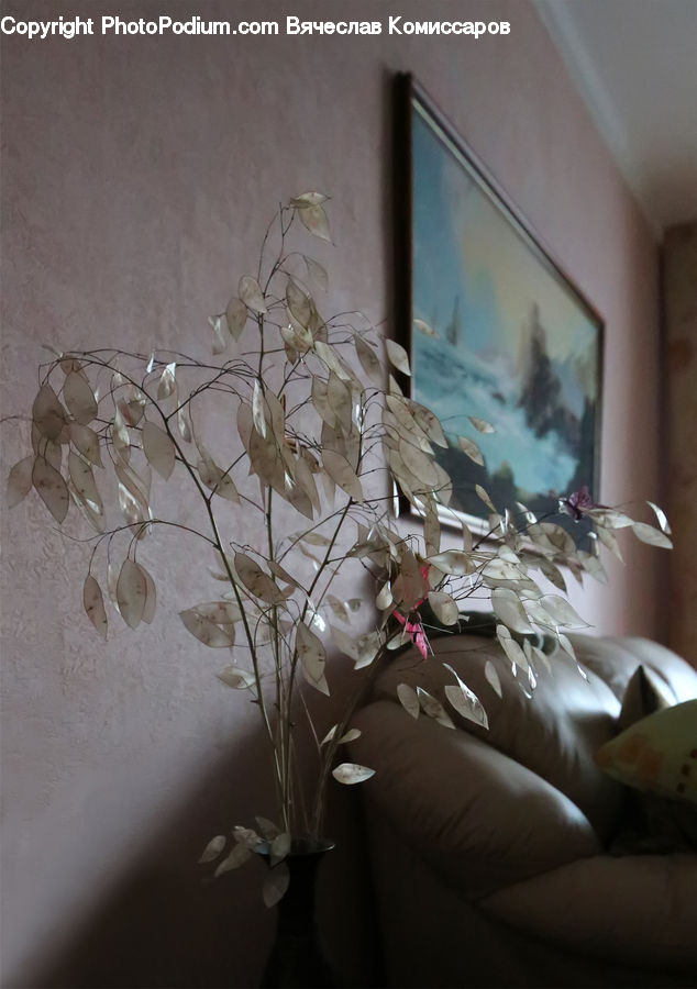 Plant, Potted Plant, Flower Arrangement, Ikebana, Vase, Apartment, Housing