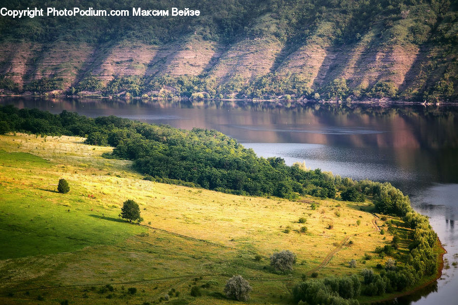 Field, Grass, Grassland, Land, Outdoors, Nature, Landscape