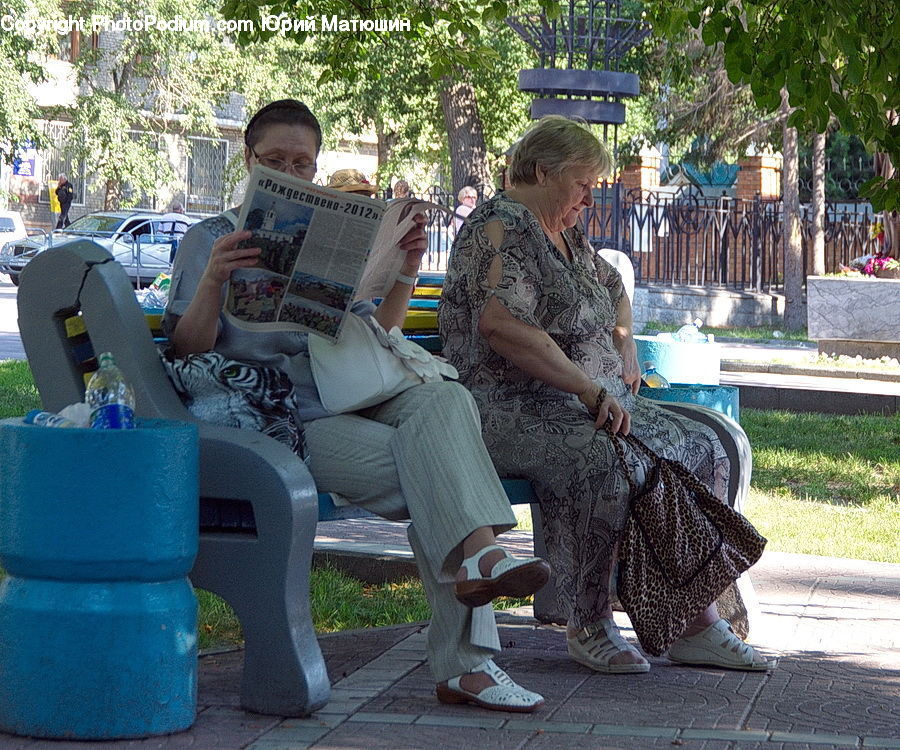 People, Person, Human, Reading, Chair, Furniture, Bench