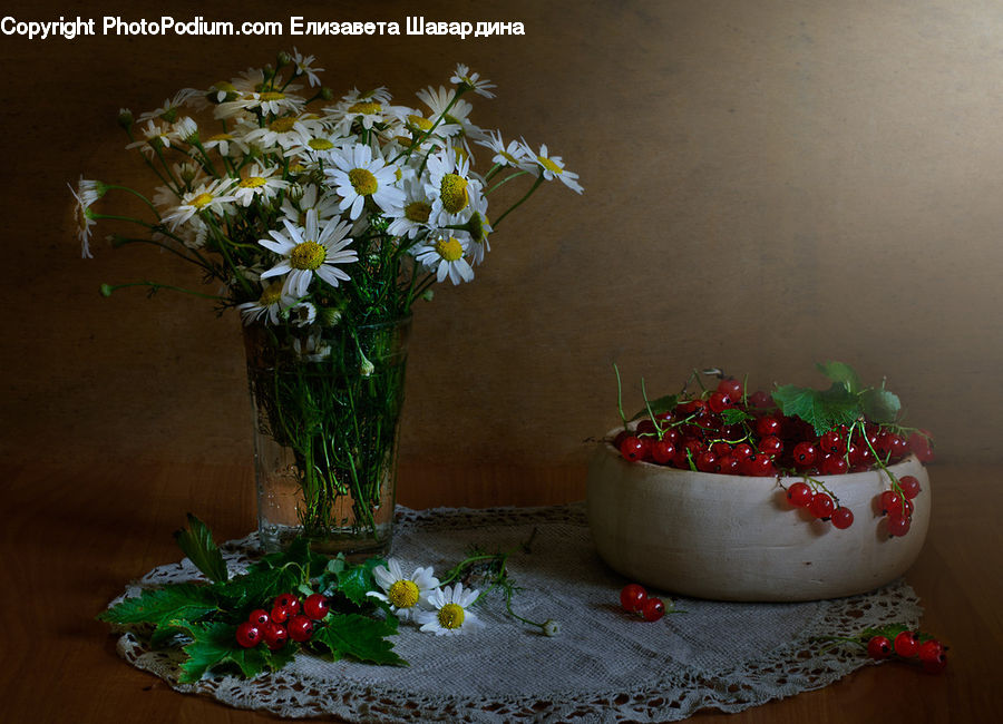 Cherry, Fruit, Floral Design, Flower, Flower Arrangement, Flower Bouquet, Ikebana
