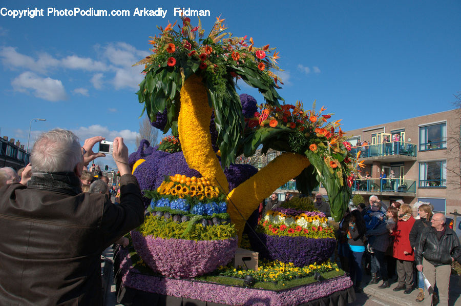 Plant, Potted Plant, Carnival, Crowd, Festival, Parade, Flower