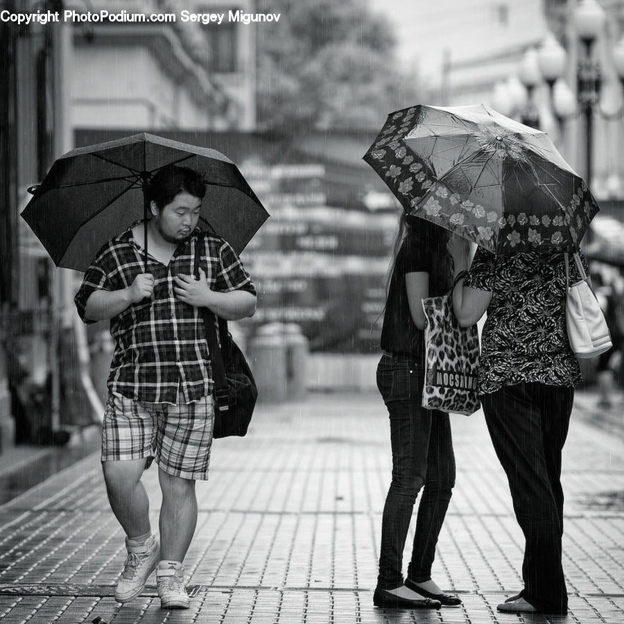Human, People, Person, Umbrella
