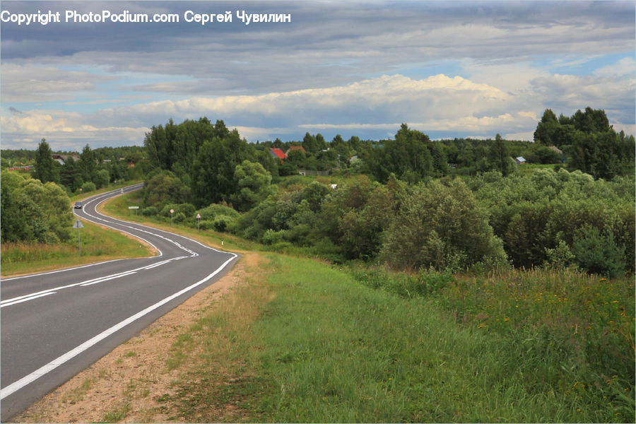 Road, Dirt Road, Gravel, Freeway, Field, Grass, Grassland