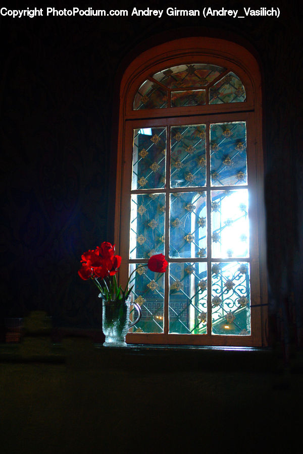 Window, Plant, Potted Plant, Jar, Porcelain, Vase, Dining Room