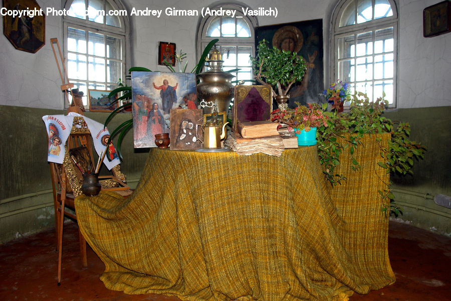 Furniture, Throne, Chair, Plant, Potted Plant, Dining Table, Table