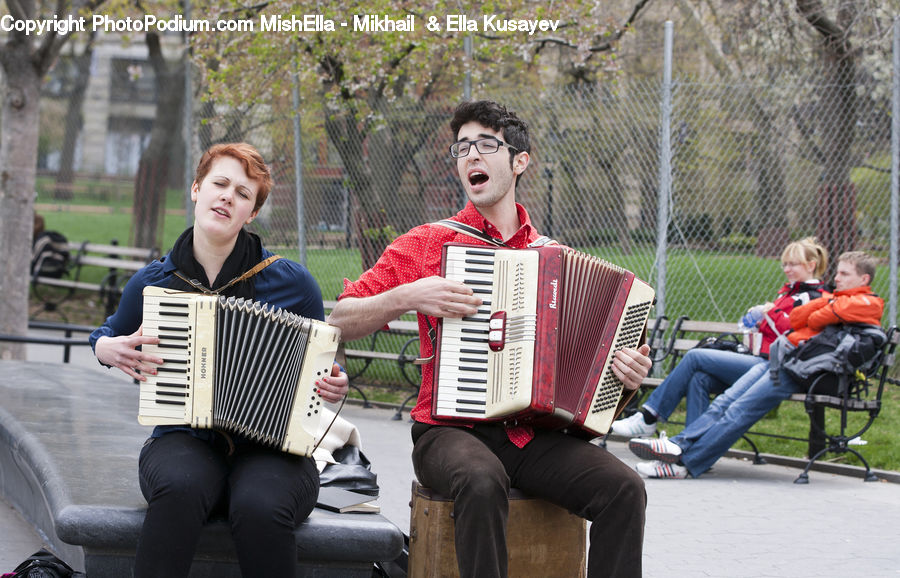 Accordion, Musical Instrument, Human, People, Person, Bench, Chair
