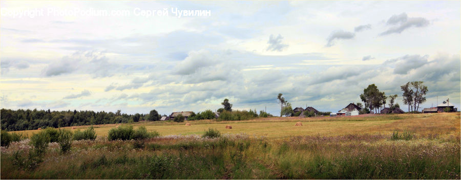 Field, Grass, Grassland, Land, Outdoors, Landscape, Nature