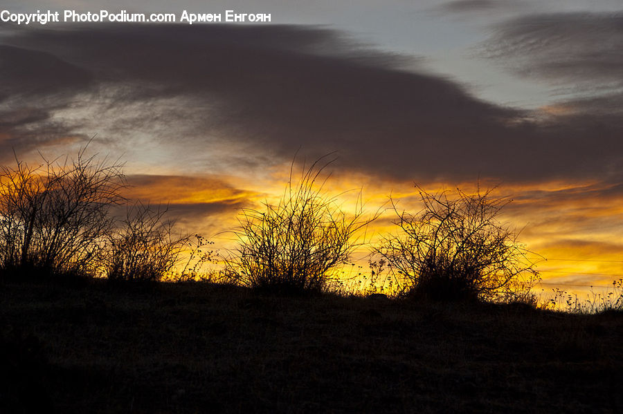 Dawn, Dusk, Red Sky, Sky, Sunrise, Sunset, Field