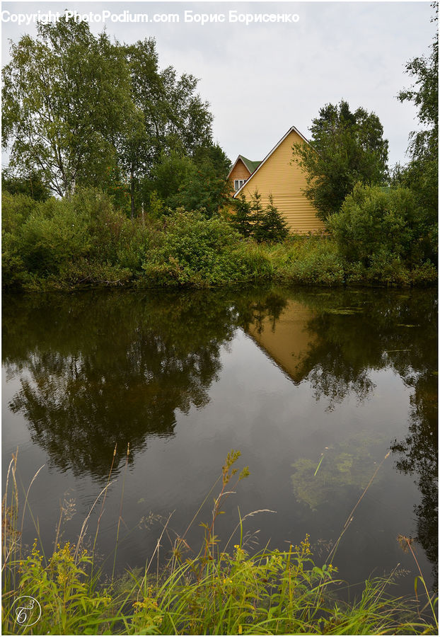 Outdoors, Pond, Water, River, Field, Grass, Grassland