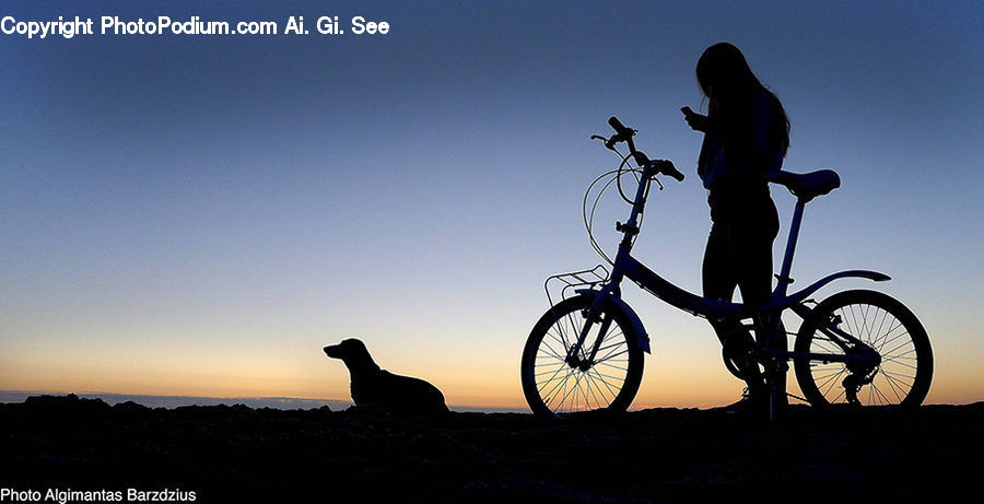 People, Person, Human, Bicycle, Bike, Vehicle, Silhouette
