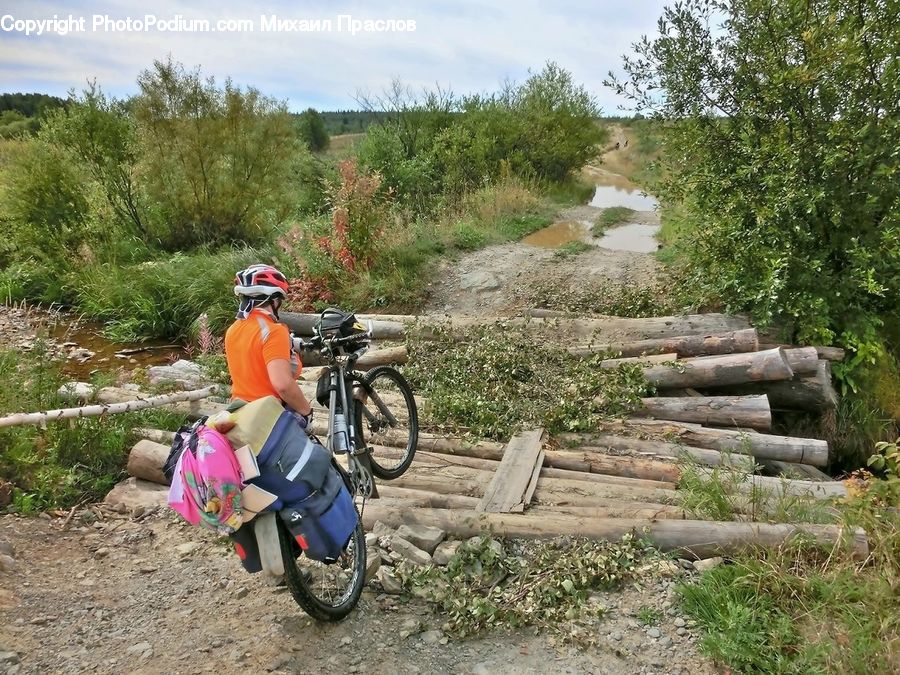 People, Person, Human, Bicycle, Bike, Vehicle, Scooter