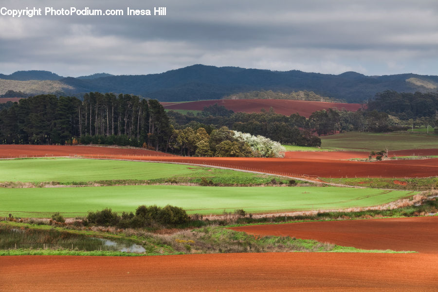 Golf Course, Grassland, Soil