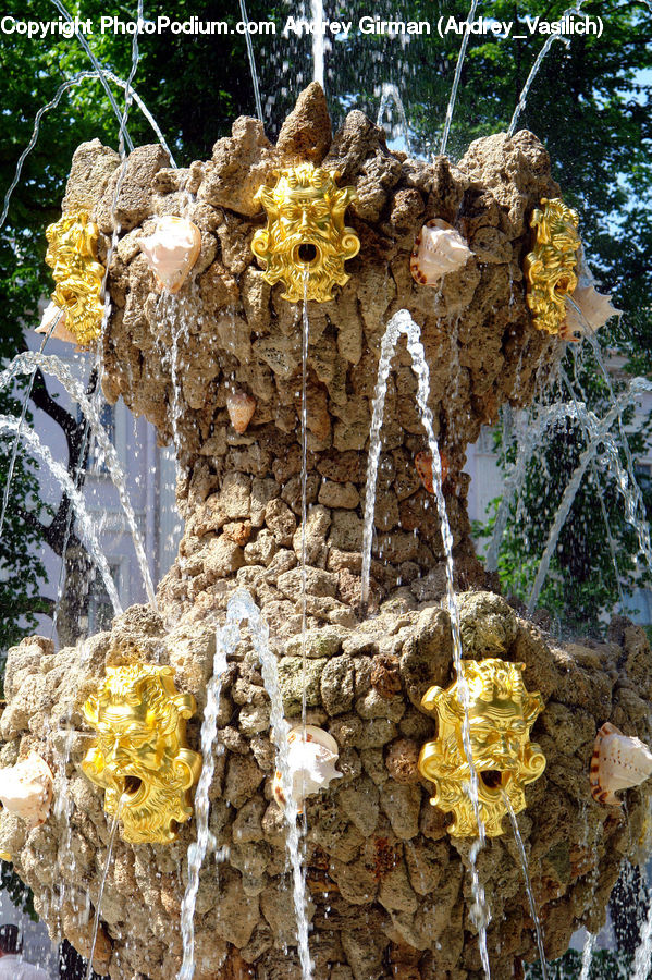 Fruit, Agaric, Amanita, Fungus, Mushroom, Plant, Fountain