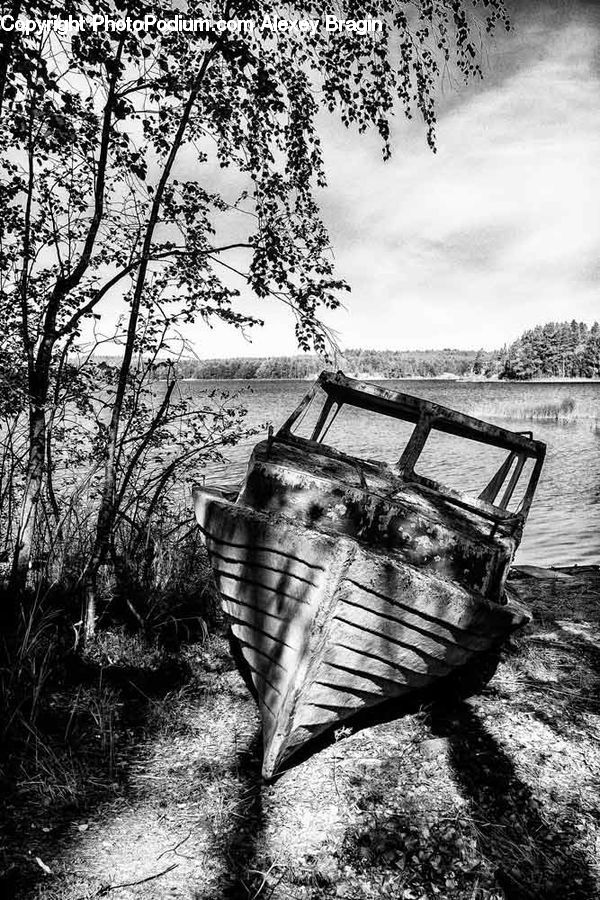 Bench, Boat, Rowboat, Vessel, Water, Outdoors, Forest