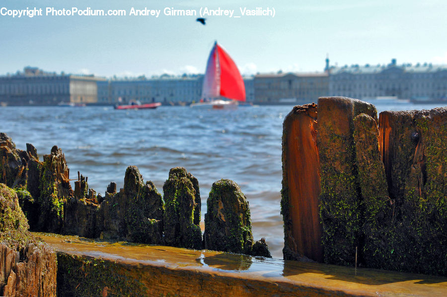 Coast, Outdoors, Sea, Water, Tree Stump, Boat, Dinghy