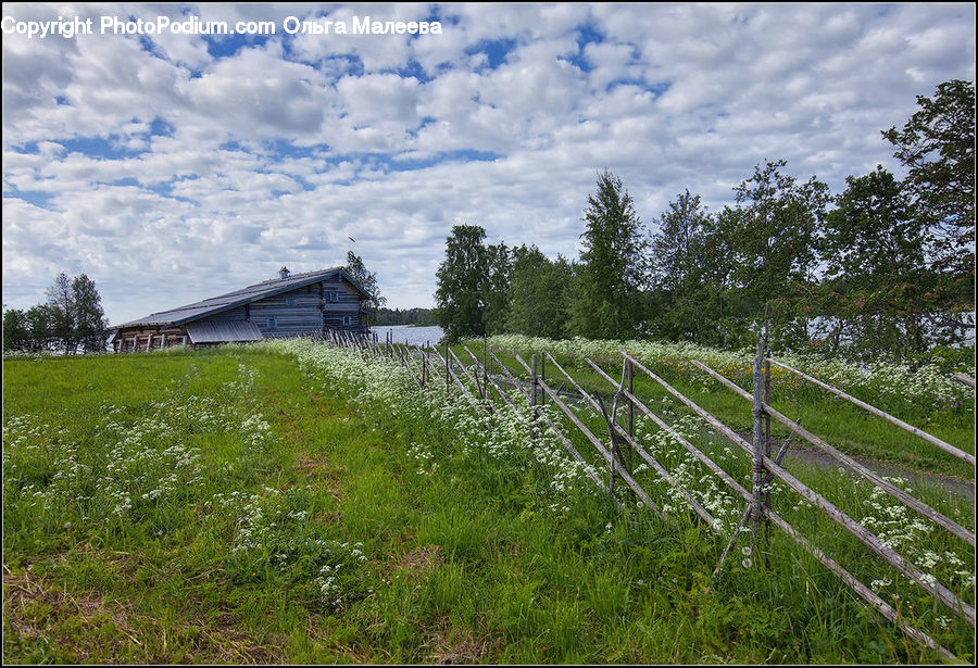 Field, Grass, Grassland, Land, Outdoors, Plant, Landscape