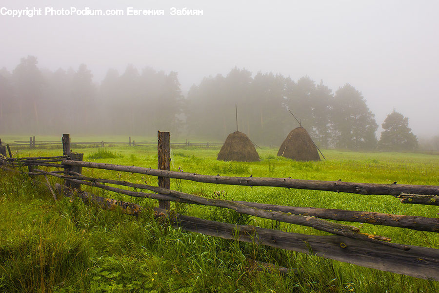 Grassland, Mound, Field, Grass, Land, Outdoors, Plant