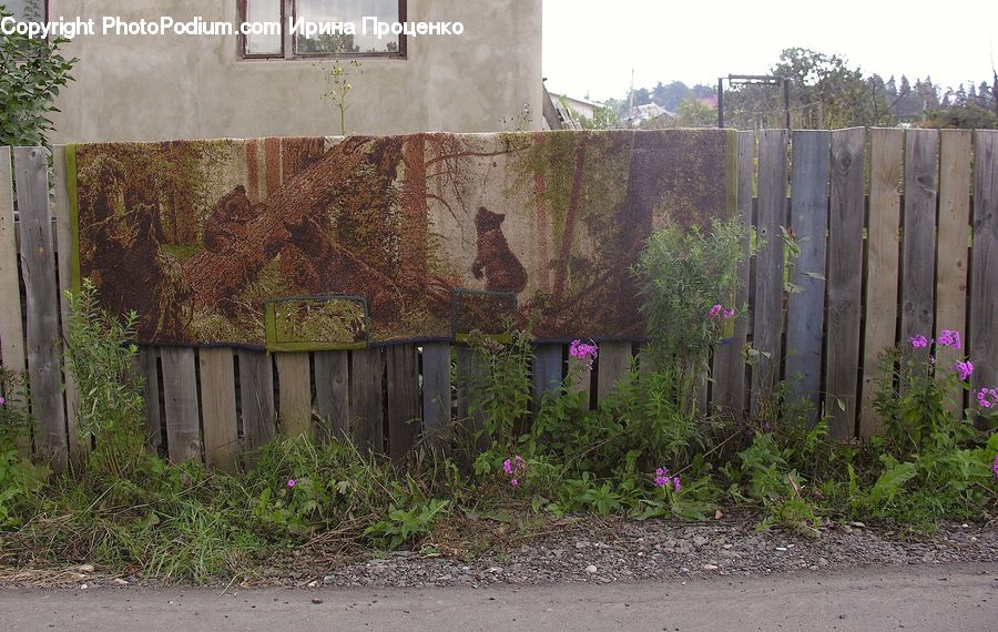 Plant, Potted Plant, Bunker, Flora, Flower, Thistle, Weed