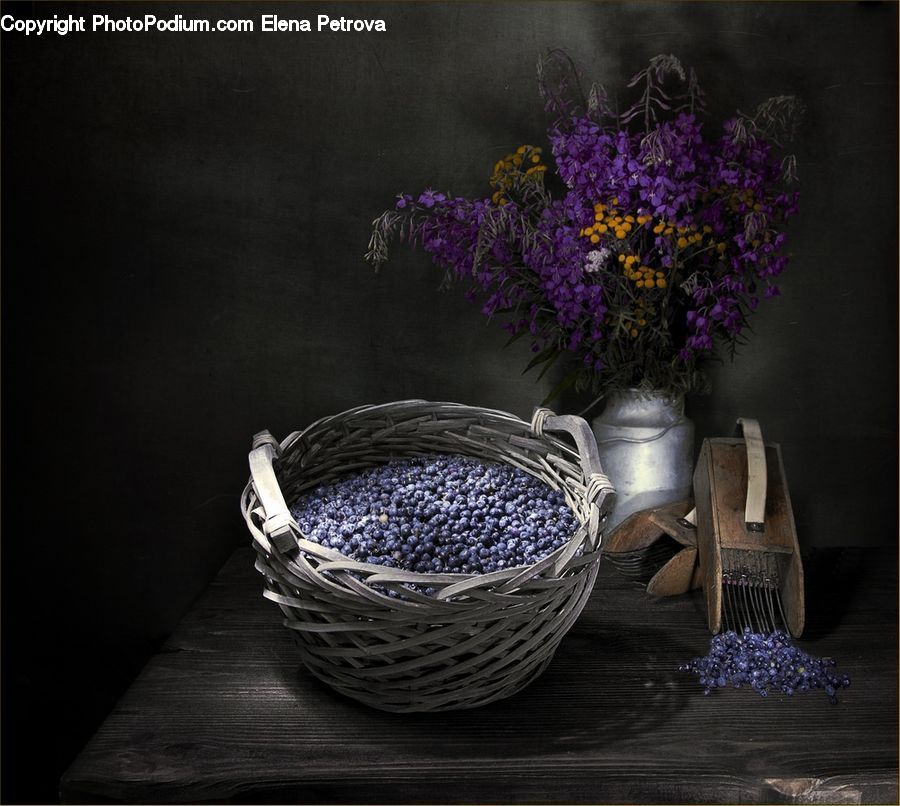 Plant, Potted Plant, Chair, Furniture, Lavender, Blossom, Flora