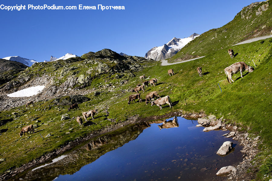 Crest, Mountain, Outdoors, Peak, Pond, Water, Nature
