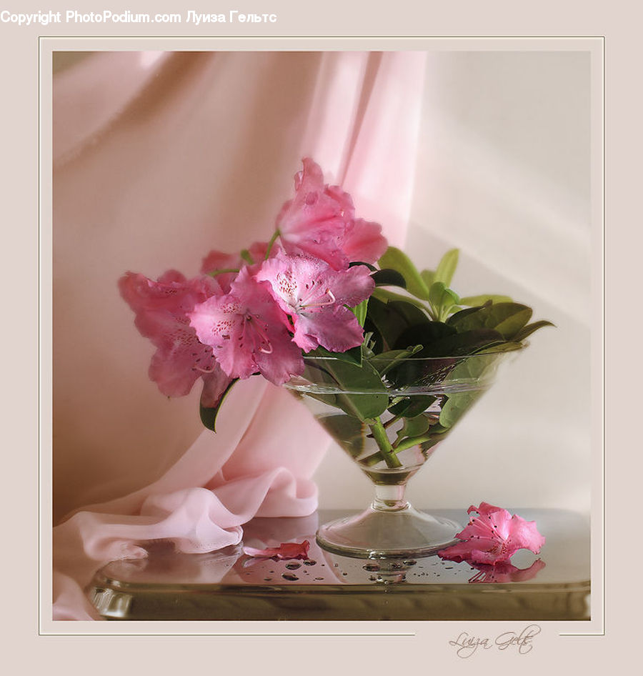 Glass, Goblet, Blossom, Flora, Flower, Plant, Flower Arrangement
