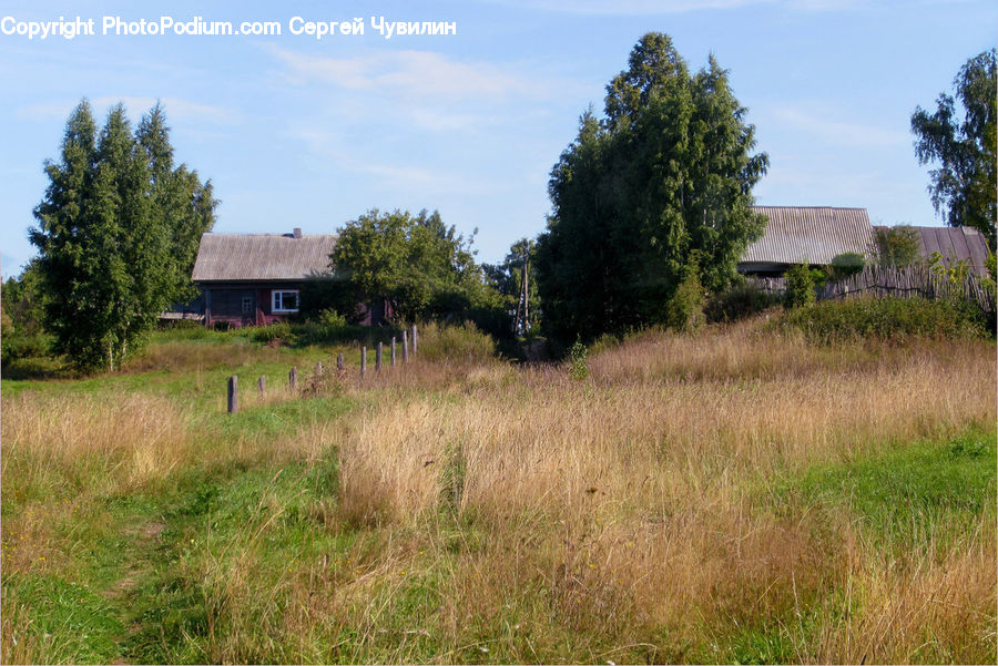 Building, Cottage, Housing, Field, Grass, Grassland, Land