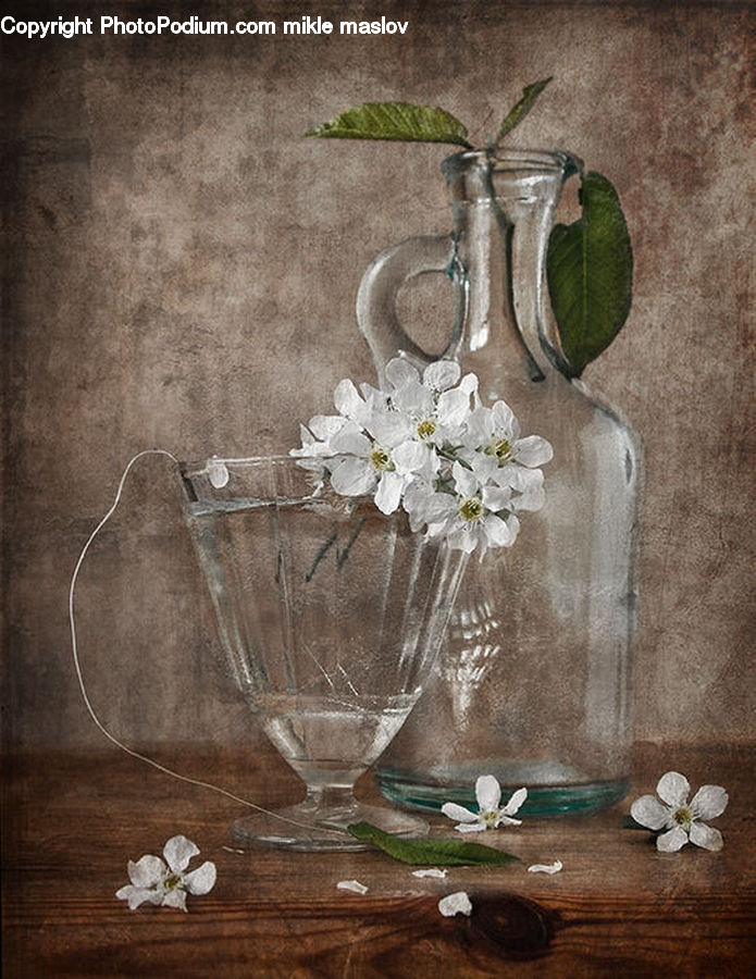 Pitcher, Glass, Goblet, Floral Design, Flower, Flower Arrangement, Flower Bouquet