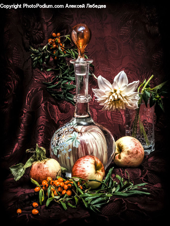 Plant, Potted Plant, Garlic, Glass, Goblet, Produce, Vegetable