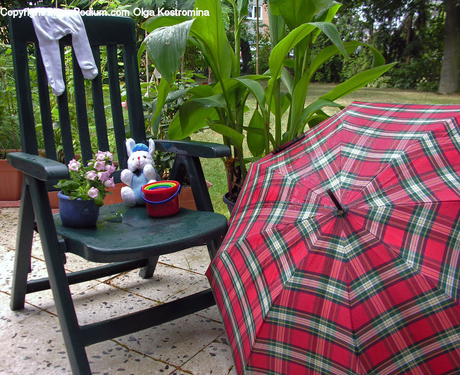 Plant, Potted Plant, Chair, Furniture, Bench, Backyard, Yard