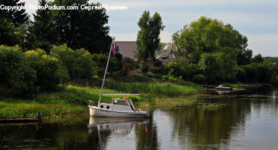 Boat, Watercraft, Canal, Outdoors, River, Water, Plant