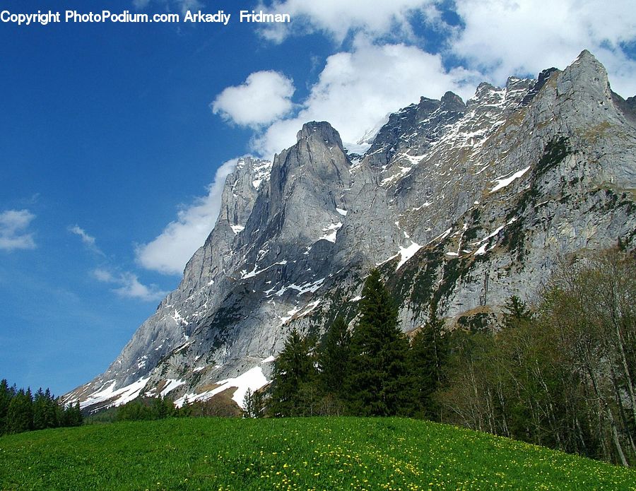 Crest, Mountain, Outdoors, Peak, Alps, Mountain Range, Field