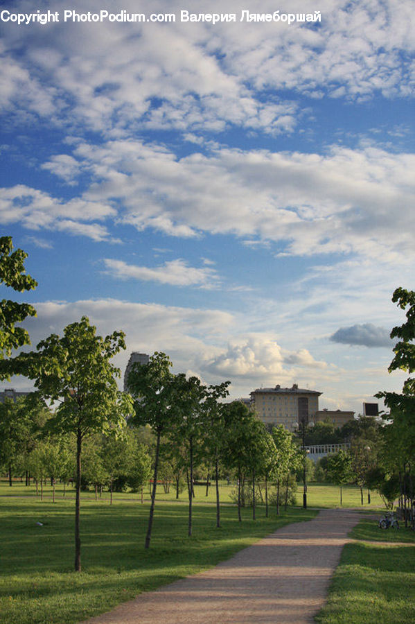 Campus, Dirt Road, Gravel, Road, Building, Office Building, Landscape