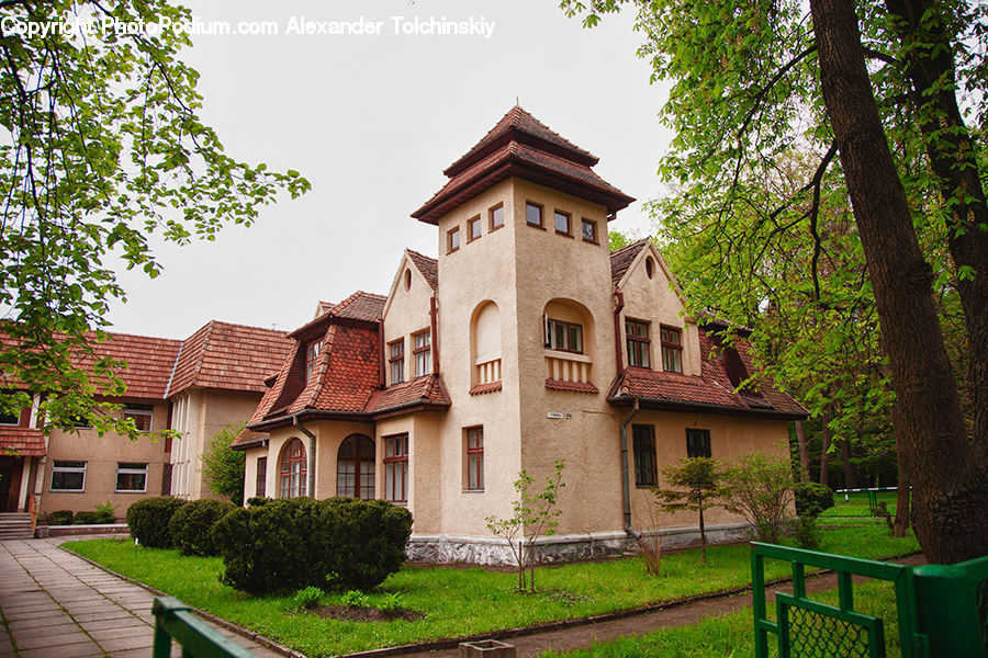 Building, Cottage, Housing, Roof, Tile Roof, Bench, Villa
