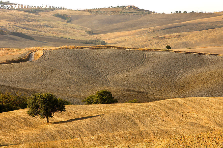 Dune, Outdoors, Desert, Dirt Road, Gravel, Road, Field