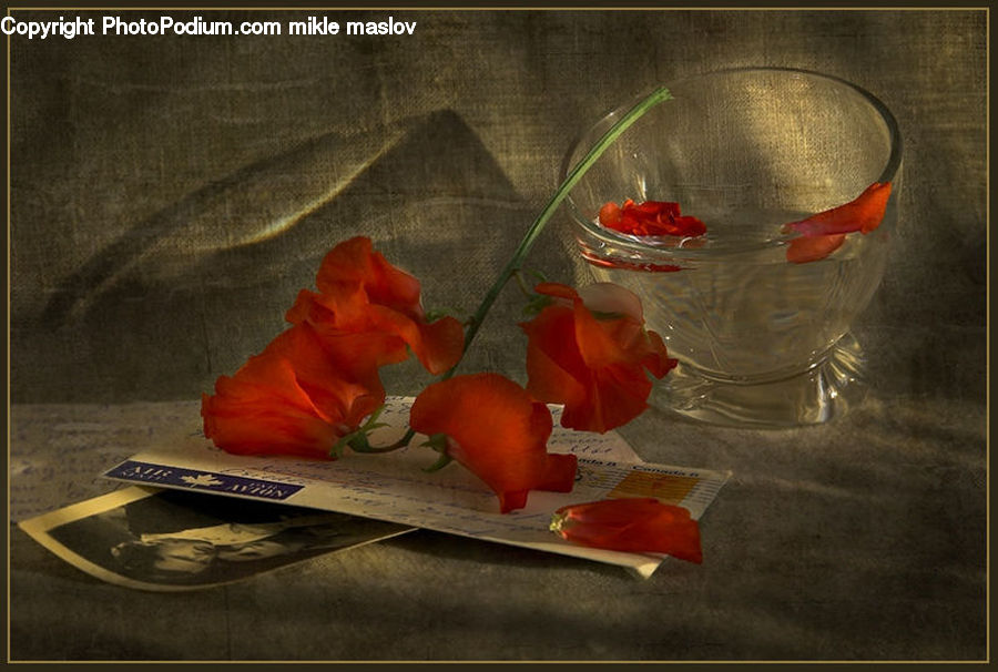 Glass, Goblet, Blossom, Flora, Flower, Plant, Flower Arrangement