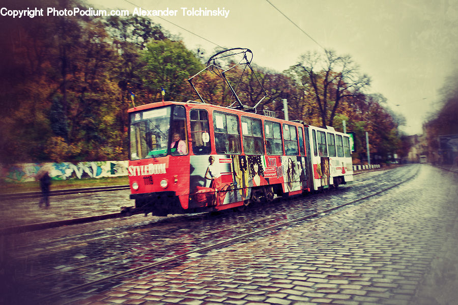 Bus, Vehicle, Train, Cable Car, Streetcar, Trolley, Engine