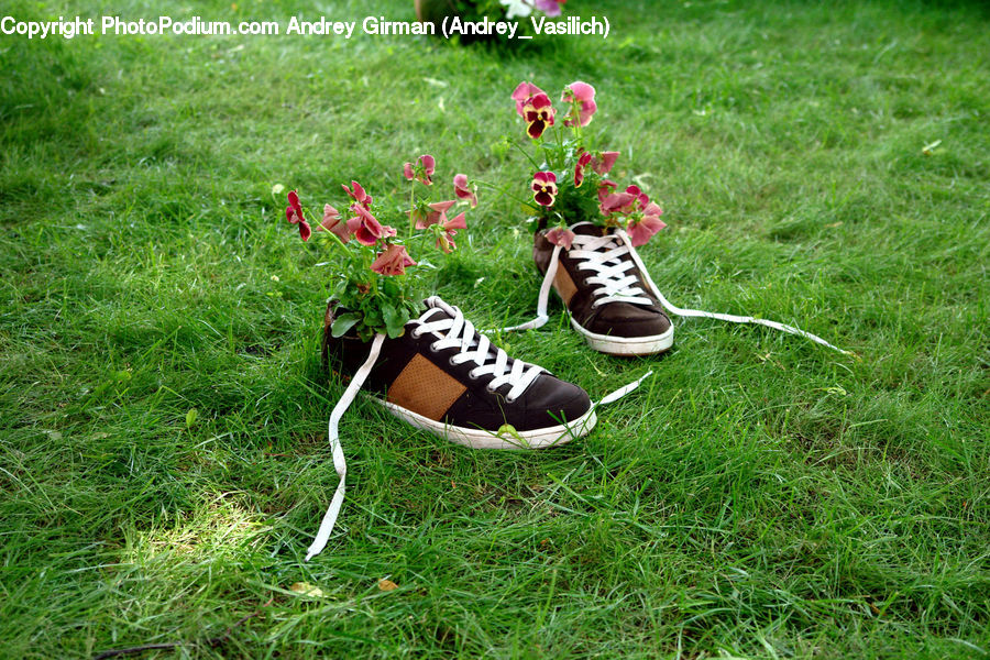 Footwear, Shoe, Herbal, Herbs, Plant, Planter, Backyard