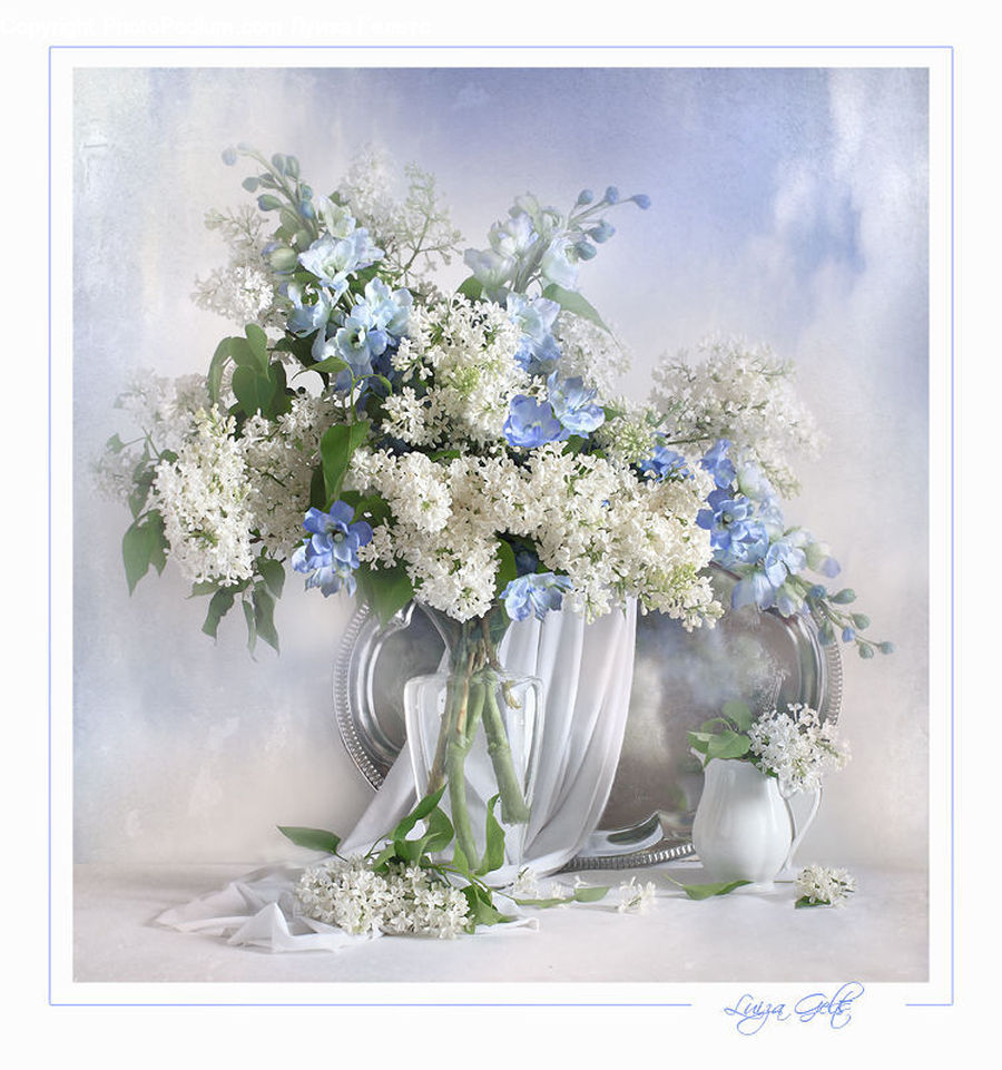 Jar, Porcelain, Vase, Blossom, Flower, Lilac, Plant