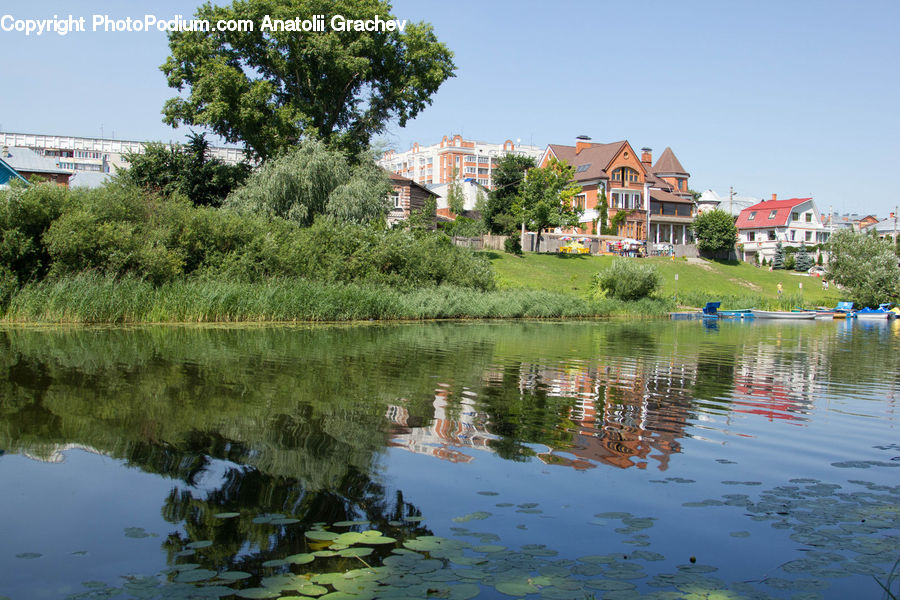 People, Person, Human, Outdoors, Pond, Water, Building