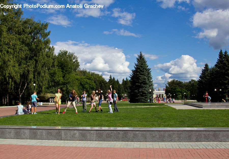 Arena, Field, Football Field, Stadium, Campus