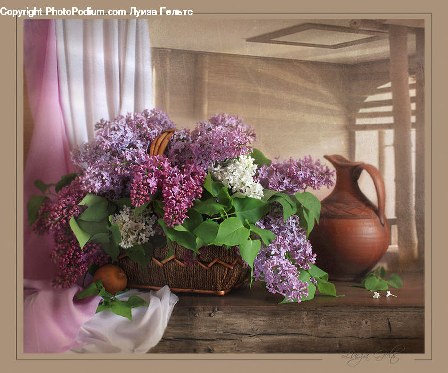 Blossom, Flower, Lilac, Plant, Pot, Pottery, Floral Design