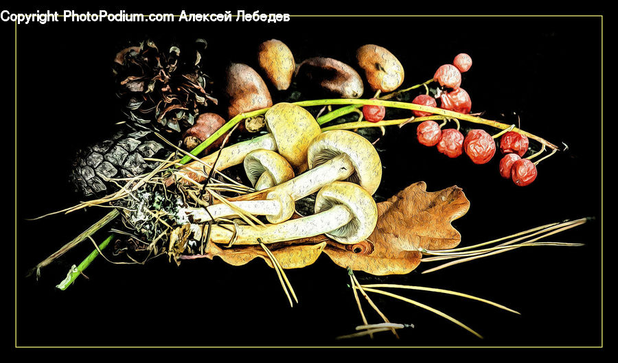 Produce, Vegetable, Plant, Rutabaga, Turnip, Accessories, Agaric