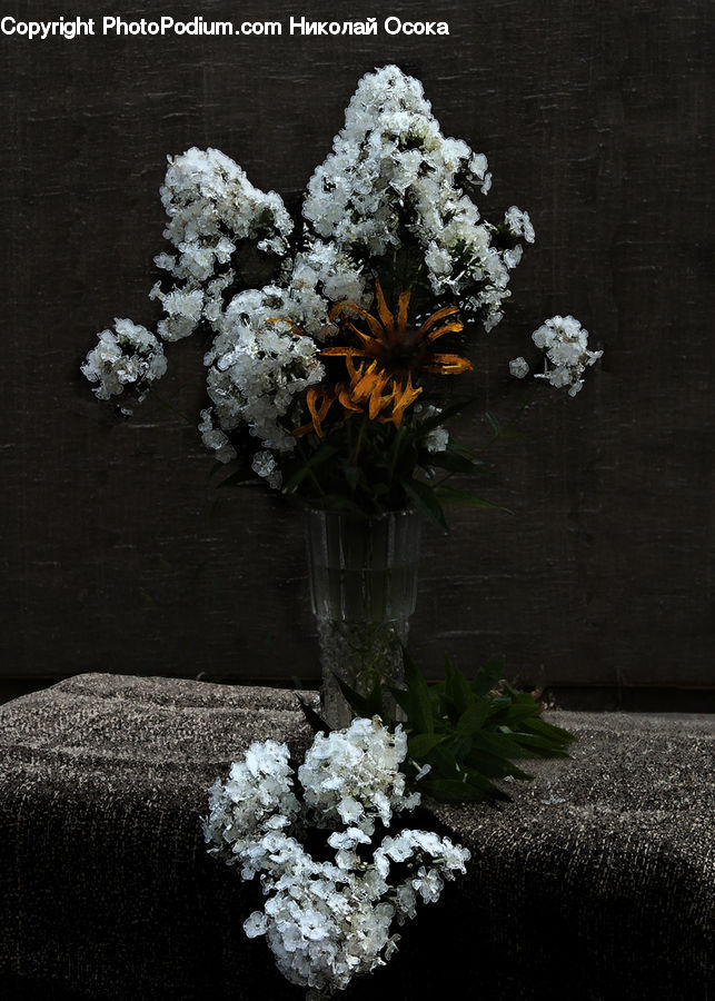 Plant, Potted Plant, Floral Design, Flower, Flower Arrangement, Flower Bouquet, Ikebana