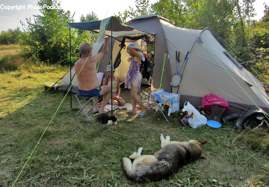Camping, People, Person, Human, Mountain Tent, Tent, Backyard