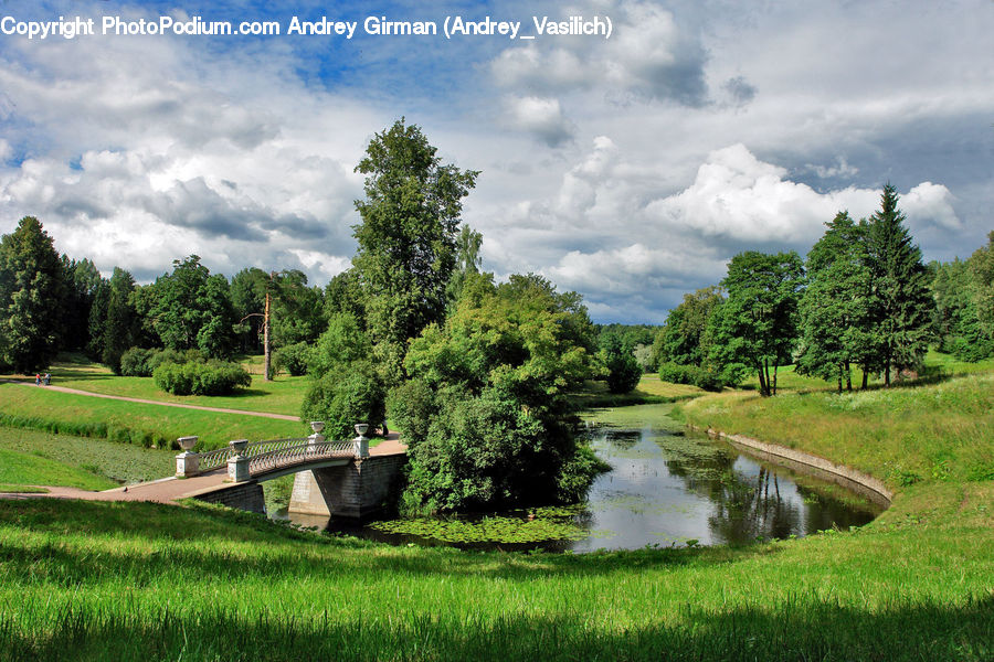 Bench, Countryside, Outdoors, Park, Field, Grass, Grassland