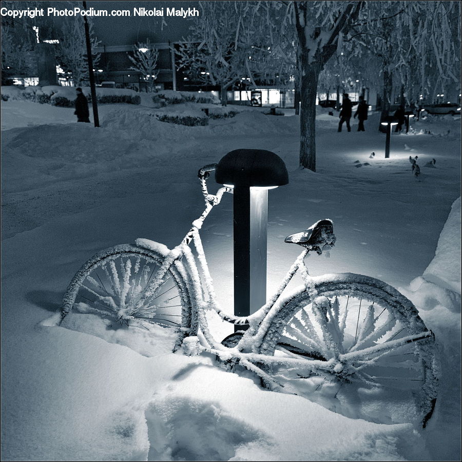 Blizzard, Outdoors, Snow, Weather, Winter, Ice, Bicycle