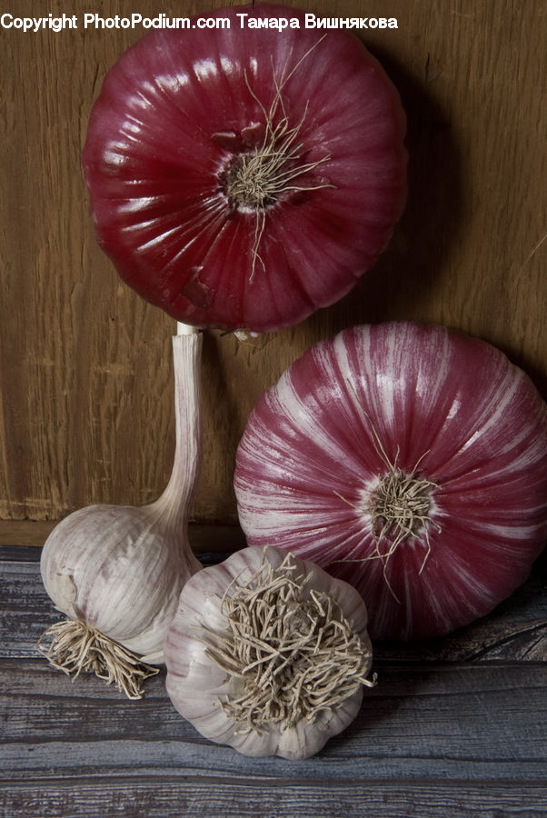 Garlic, Plant, Onion, Produce, Shallot, Vegetable