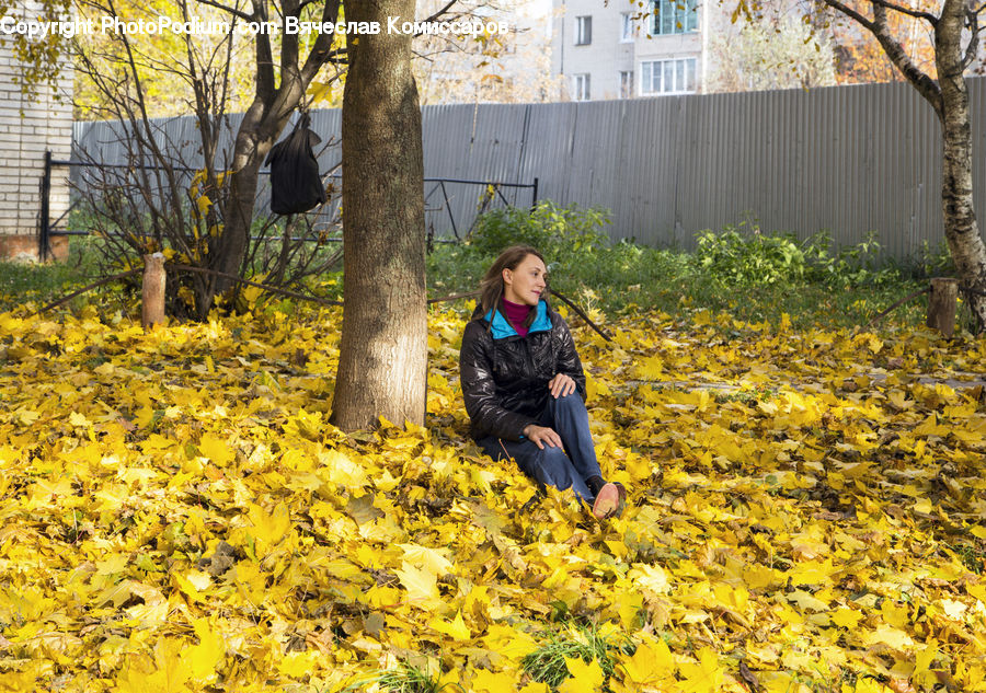 Human, People, Person, Plant, Tree, Backyard, Yard